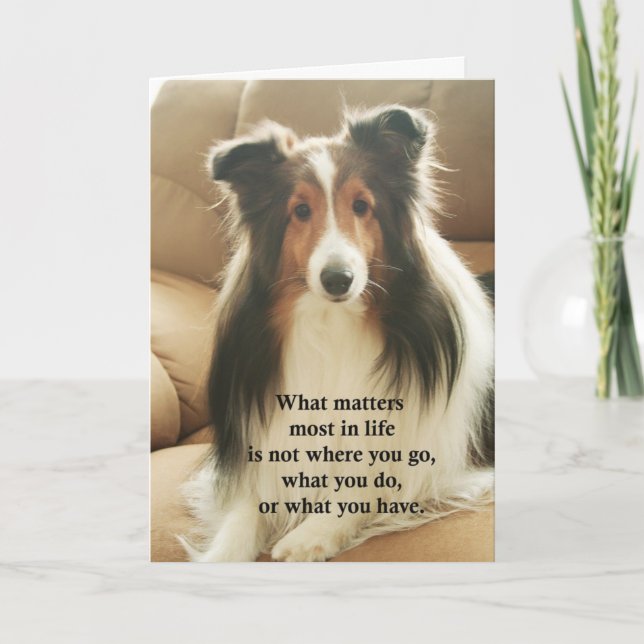 Tarjeta De Agradecimiento Sheltie le agradece cardar (Anverso)