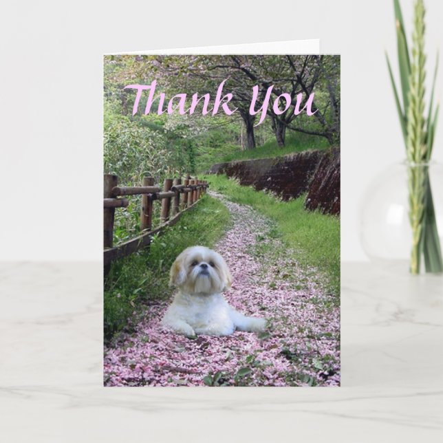 Tarjeta De Agradecimiento Shih Tzu le agradece cardar (Anverso)