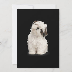 Tarjeta De Agradecimiento Shih Tzu  Shih Tzu Puppy Gift