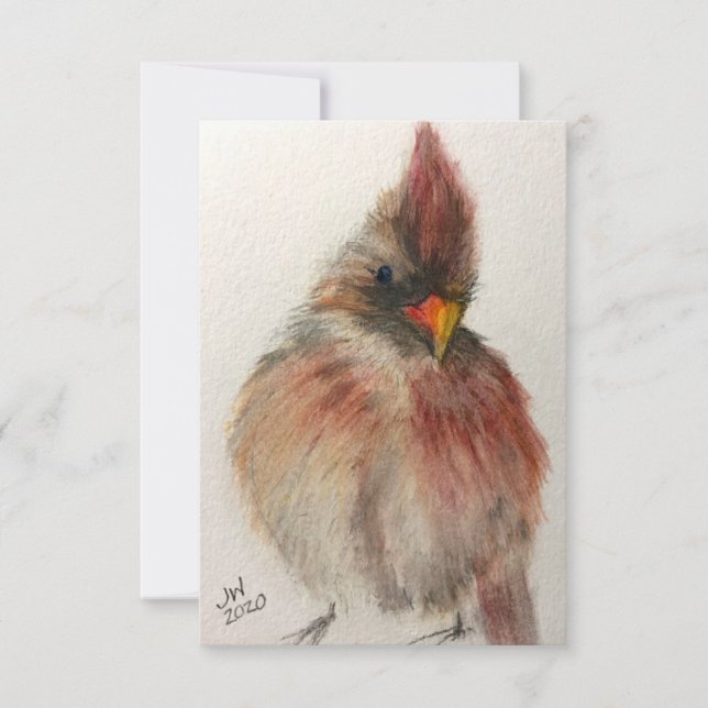 Tarjeta De Agradecimiento Shy Red Cardinal Note Card (Anverso)