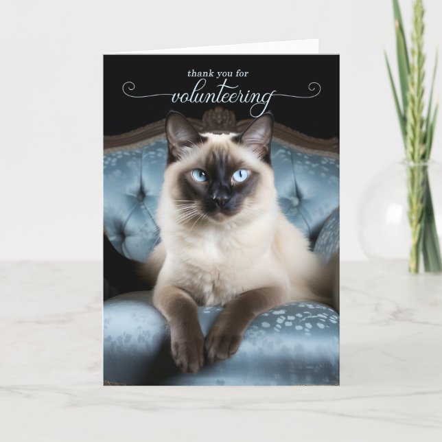 Tarjeta De Agradecimiento Siamese Cat on a Blue Chair Volunteer (Anverso)