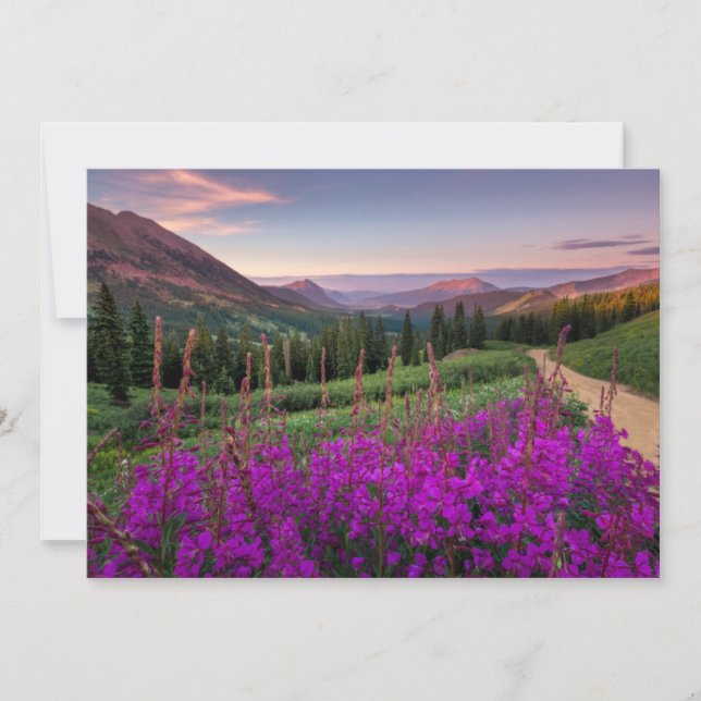 Tarjeta De Agradecimiento Sierra | Montañas Rocosas, Colorado (Anverso)