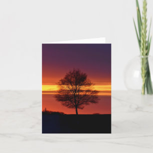 Tarjeta De Agradecimiento Silhouette de árbol.