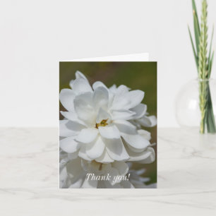 Tarjeta De Agradecimiento Silky Magnolia