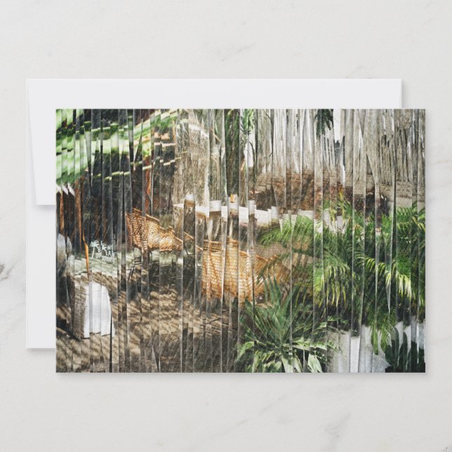 Tarjeta De Agradecimiento Sillas y plantas de mimbre (Anverso)