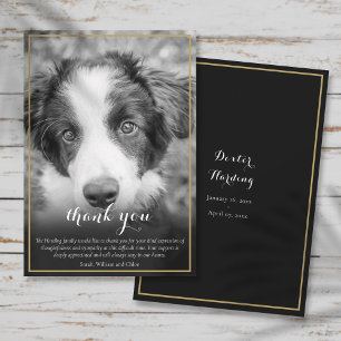 Tarjeta De Agradecimiento Simpatía por la pérdida de mascota Foto en blanco 