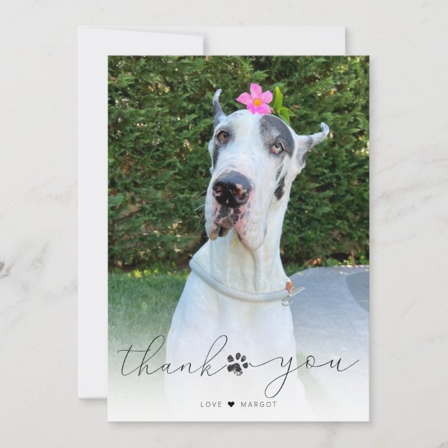 Tarjeta De Agradecimiento Simple Script Pet Memorial Foto Gracias (Anverso)