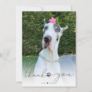 Tarjeta De Agradecimiento Simple Script Pet Memorial Foto Gracias