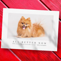 Simple y moderna foto de un Mascota Personalizado 