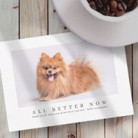 Simple y moderna foto de un Mascota Personalizado 