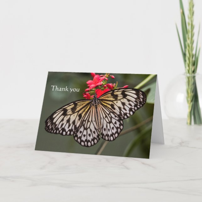 Tarjeta De Agradecimiento Simplemente una mariposa de cometa de papel (Anverso)