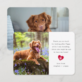 Tarjeta De Agradecimiento Sitter simple de dos Mascotas fotográficos
