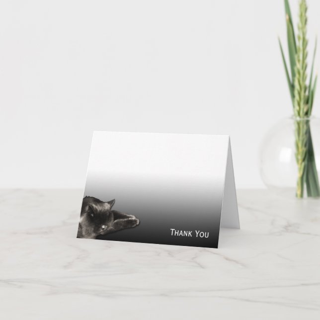 Tarjeta De Agradecimiento Sleeping Black Cat on Black Gradient (Anverso)