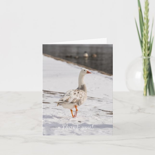 Tarjeta De Agradecimiento Snow Goose Strout (Anverso)