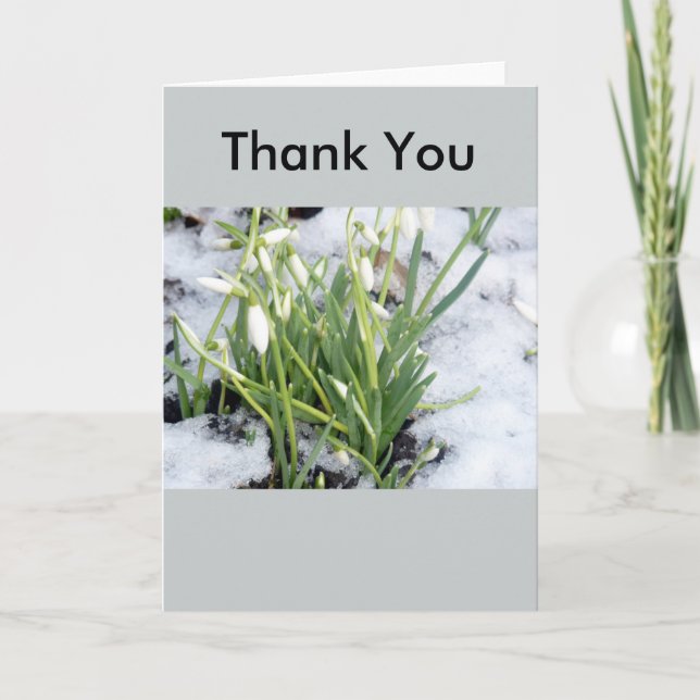 Tarjeta De Agradecimiento Snowdrops en nieve le agradece cardar (Anverso)