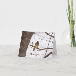 Tarjeta De Agradecimiento Snowing De Nuevo Dice La Sra. Cardinal Gracias Car