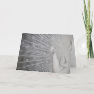 Tarjeta De Agradecimiento SnowPeacock