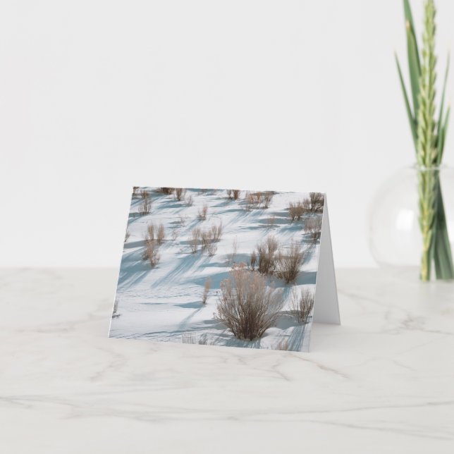 Tarjeta De Agradecimiento Snowy Rabbitbrush - 4" x 5.6" Notecard (Anverso)