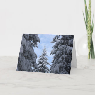 Tarjeta De Agradecimiento SnowyPines