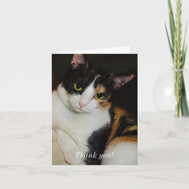 Tarjeta De Agradecimiento Sólo colgando alrededor (Anverso)