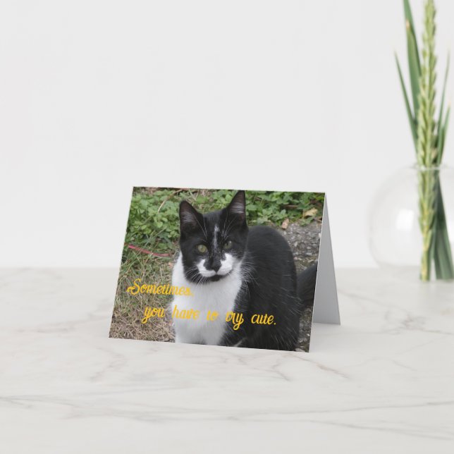 Tarjeta De Agradecimiento Sometimes, you have to try cute. (Anverso)