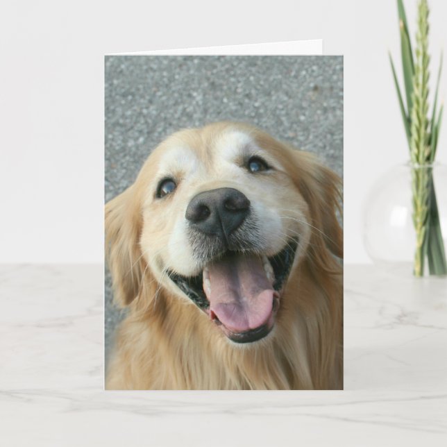 Tarjeta De Agradecimiento Sonriente Golden Retriever Gracias (Anverso)
