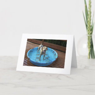 Tarjeta De Agradecimiento ¿Soy hermoso o qué?