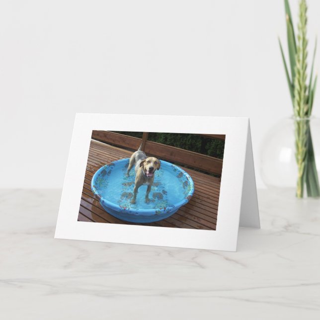 Tarjeta De Agradecimiento ¿Soy hermoso o qué? (Anverso)