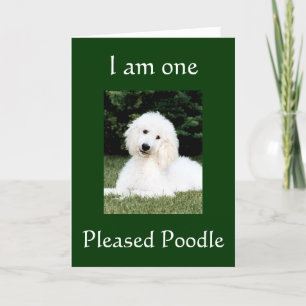 TARJETA DE AGRADECIMIENTO "SOY UN POODLE AGRADECIDO" GRACIAS