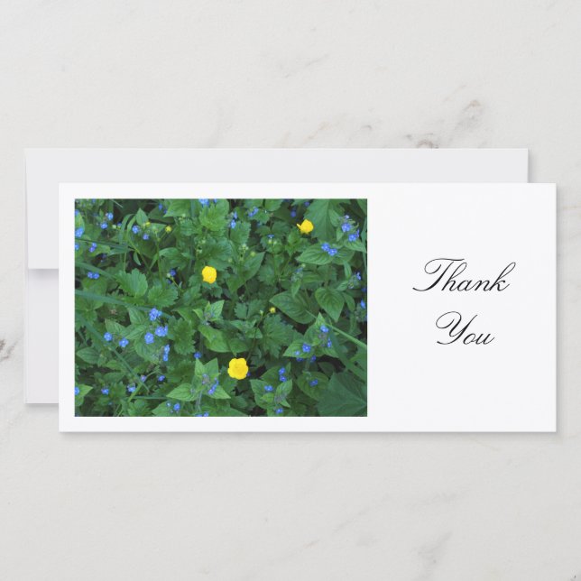 Tarjeta De Agradecimiento Speedwell and Buttercups - Gracias (Anverso)
