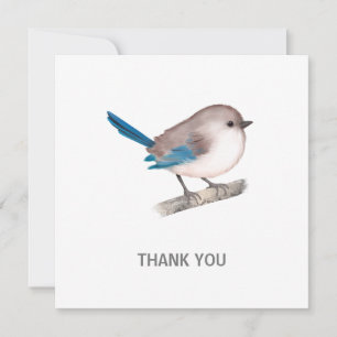 Tarjeta De Agradecimiento Splendid Fairy Wren Bird on Branch