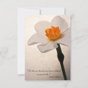 Tarjeta De Agradecimiento Spring Daffodil Gracias por tu simpatía