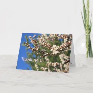 Tarjeta De Agradecimiento Springtime Gracias