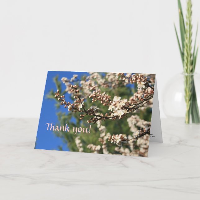 Tarjeta De Agradecimiento Springtime Gracias (Anverso)