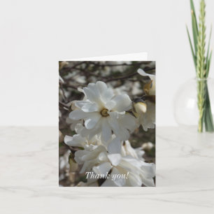 Tarjeta De Agradecimiento Star Magnolia Blooms