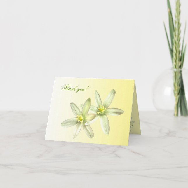 Tarjeta De Agradecimiento Star of Bethlehem Gracias (Anverso)