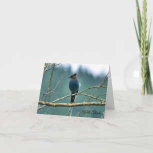 Tarjeta De Agradecimiento Steller Jay Thank You Card