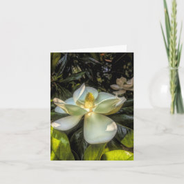 Tarjeta de agradecimiento Stenton House Magnolia