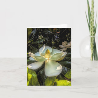Tarjeta de agradecimiento Stenton House Magnolia