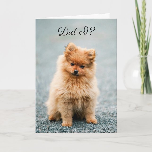 Tarjeta De Agradecimiento Still love me? BELATED BIRTHDAY CARD FOR ANYONE (Anverso)