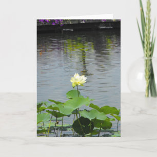 Tarjeta De Agradecimiento Su ~ 26 del mensaje