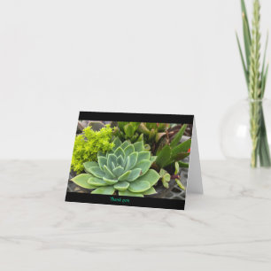 Tarjeta De Agradecimiento Suculento
