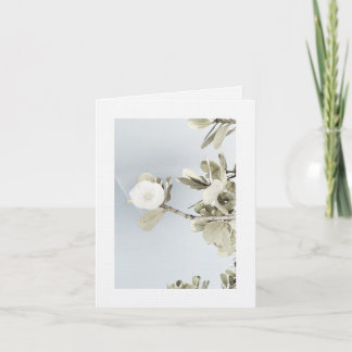 Tarjeta De Agradecimiento Sueños de Puerto Rico