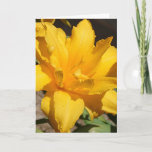Tarjeta De Agradecimiento Summer Gracias