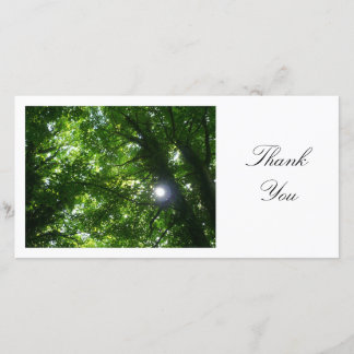 Tarjeta De Agradecimiento Sun en los árboles - gracias