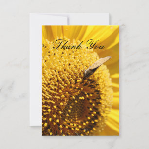 Tarjeta de agradecimiento Sunflower Skipper