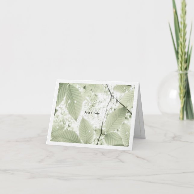 Tarjeta De Agradecimiento Sunlit leaves in New Hampshire (horizontal) (Anverso)