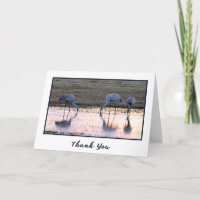 Sunset Sandhill Cranes Foto Cartas de agradecimien