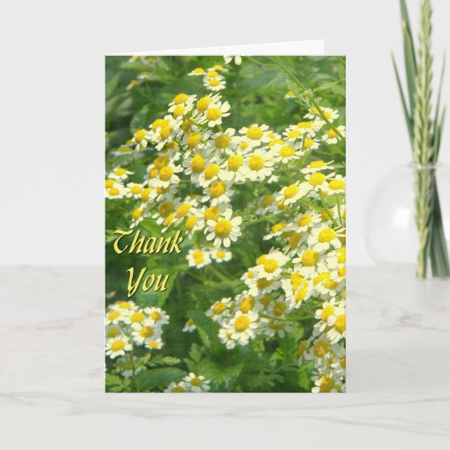 Tarjeta De Agradecimiento Sunshine Gracias (Anverso)