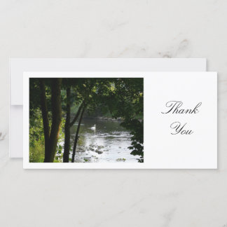 Tarjeta De Agradecimiento Swan en un río - Gracias